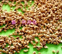 (yu)|(zh)ҚҚ(ͣҚw